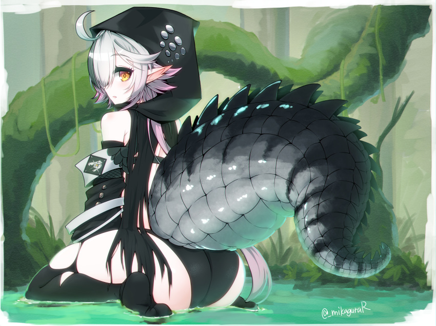 1girl :o ahoge arknights artist_name ass black_hood crocodilian_tail detached_sleeves full_body green_background grey_hair highres hood hood_up large_tail long_hair long_sleeves looking_at_viewer looking_back mikagura outdoors pointy_ears reptile_girl sitting solo star-shaped_pupils star_(symbol) symbol-shaped_pupils tail thighhighs tomimi_(arknights) torn_clothes torn_thighhighs twitter_username wariza water wetland