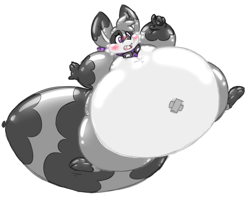 2022 5:4 alpha_channel belly big_belly bliss_(buoyantbliss) blush blush_lines buoyantbliss floating grey_tail hi_res huge_belly immobile latex_body mammal orange_eyes procyonid raccoon simple_background tape transparent_background white_belly