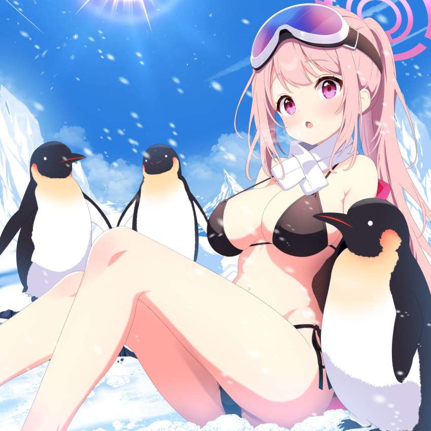 1girl animal ass bare_legs bikini bird black_bikini blue_archive blush breasts cleavage day eimi_(blue_archive) eimi_(swimsuit)_(blue_archive) goggles goggles_on_head halo highres large_breasts long_hair mutsuse official_alternate_costume open_mouth outdoors penguin pink_eyes pink_hair pink_halo ponytail scarf snow solo swimsuit very_long_hair white_scarf