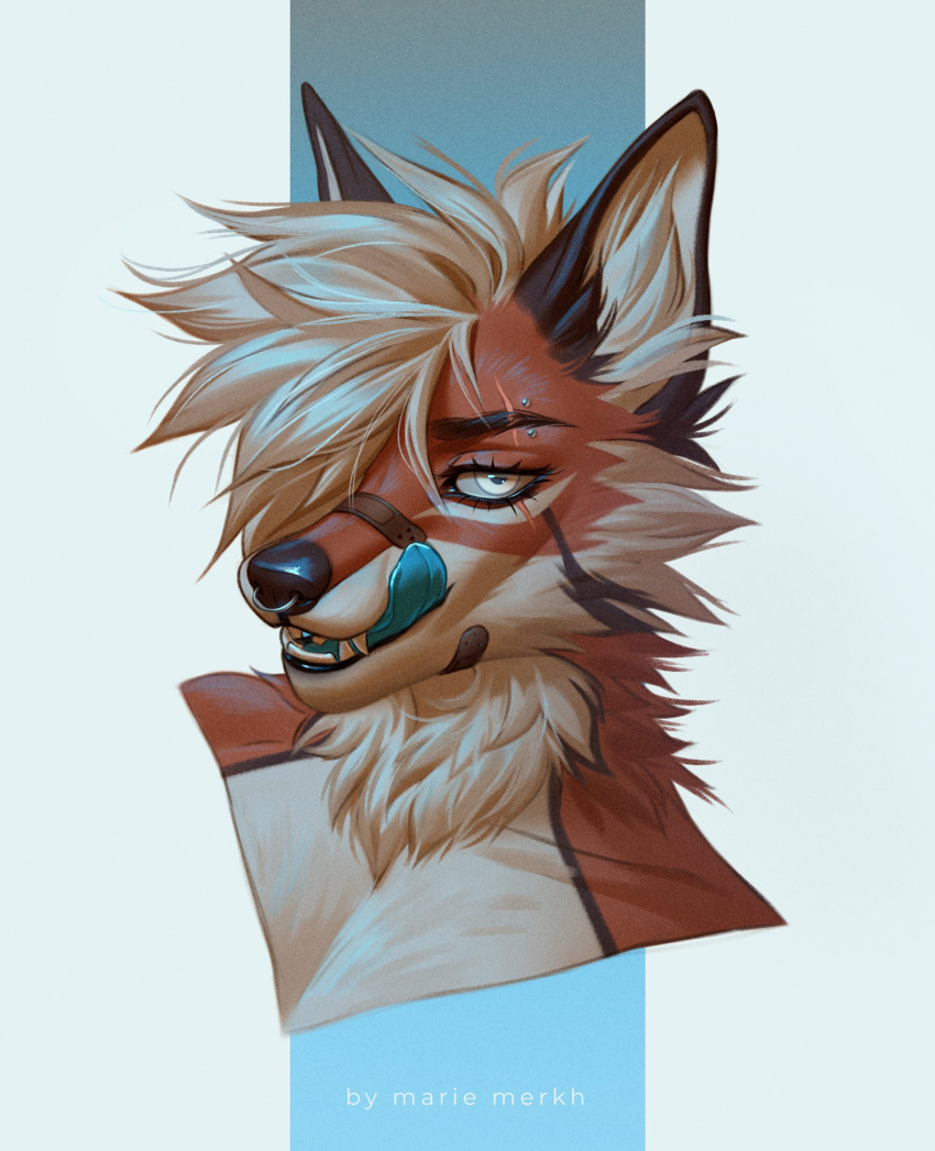 absurd_res anthro bandage_on_nose bust_portrait canid canine cheek_tuft eyelashes facial_piercing facial_tuft fangs fox fur hair hi_res inner_ear_fluff licking licking_lips licking_own_lips looking_at_viewer male mammal marie_merkh neck_tuft nose_piercing nose_ring open_mouth orange_body orange_fur piercing portrait ring_piercing septum_piercing septum_ring simple_background solo teeth tongue tongue_out tuft white_body white_eyes white_fur white_hair white_inner_ear_fluff