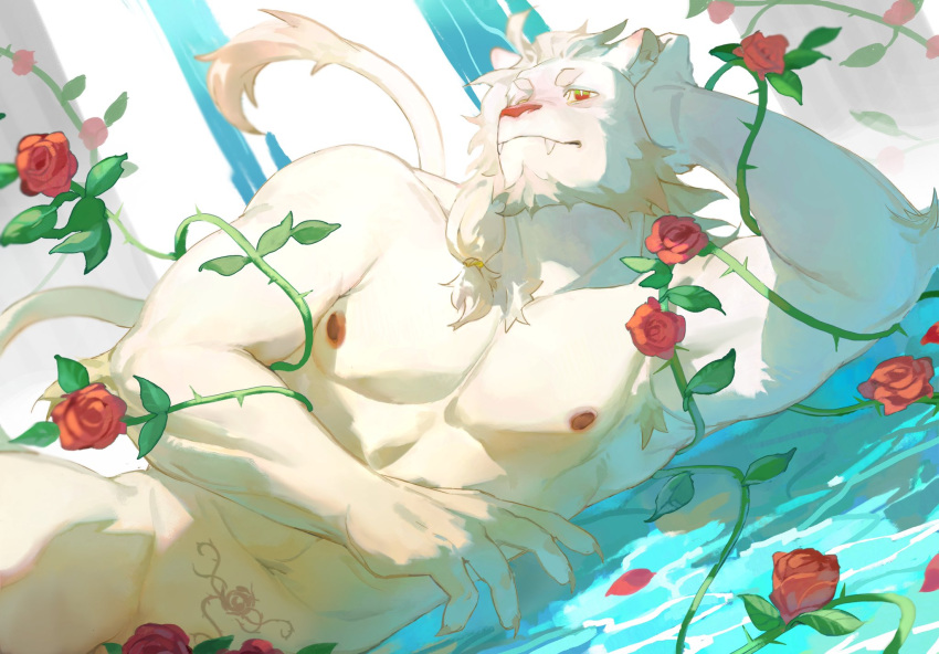 5_fingers abs anthro barazoku biceps fangs felid fingers flower fur hi_res light lion looking_at_viewer lying male mammal muscular muscular_anthro muscular_male nipples nude on_side pantherine pecs plant red_eyes red_nipples rose_(flower) solo sunlight teeth white_body white_fangs white_fur yuuko891