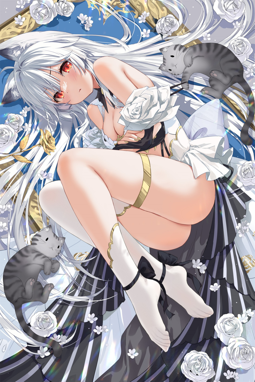 1girl :t absurdres ahoge animal_ear_fluff animal_ears ankle_ribbon ass asymmetrical_legwear bare_shoulders black_ribbon breasts cat cat_ears cat_girl character_request cleavage closed_mouth devil_heavens empty_picture_frame feet fetal_position flower highres leg_ribbon light_blush long_hair looking_at_viewer lying medium_breasts nail_polish no_shoes on_side original picture_frame pout red_eyes ribbon rose single_thighhigh socks solo thigh_strap thighhighs thighs toenail_polish toenails toes v-shaped_eyebrows very_long_hair virtual_youtuber white_flower white_hair white_rose white_socks white_thighhighs