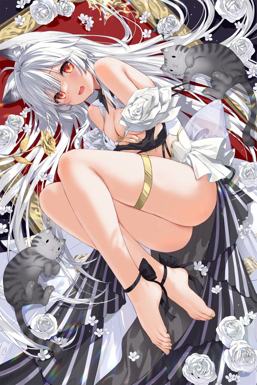 1girl absurdres ahoge animal_ear_fluff animal_ears ankle_ribbon ass bare_shoulders barefoot black_ribbon breasts cat cat_ears cat_girl character_request cleavage devil_heavens embarrassed empty_picture_frame feet fetal_position flower highres leg_ribbon light_blush long_hair looking_at_viewer lying medium_breasts nail_polish no_shoes on_side open_mouth original picture_frame red_eyes ribbon rose solo thigh_strap thighs toenail_polish toenails toes very_long_hair virtual_youtuber white_flower white_hair white_rose