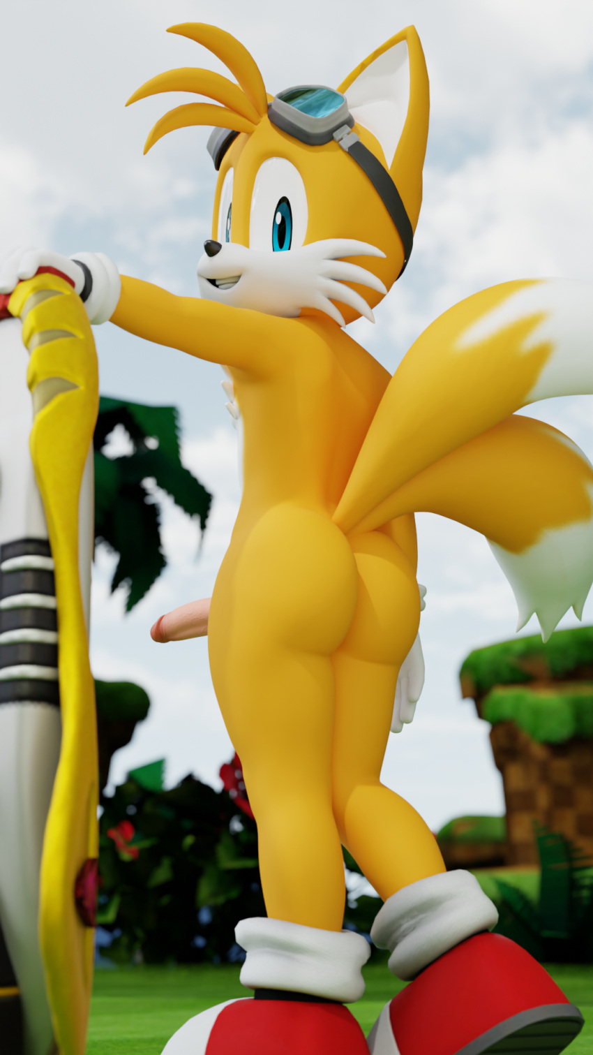 3d_(artwork) anthro canid canine digital_media_(artwork) extreme_gear eyewear fox genitals goggles hi_res looking_at_viewer looking_back male mammal miles_prower mostly_nude penis sega solo sonic_riders sonic_the_hedgehog_(series) standing twintails3d