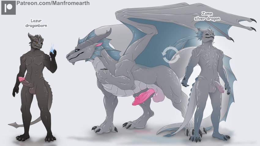 2024 2d absurd_res anthro balls black_body dragon dragon_(dnd) dragonborn_(dnd) dungeons_and_dragons duo feral foreskin frill_(anatomy) genitals hasbro hi_res horn lazur_(manfromearth) magic male male/male mammal manfromearth membrane_(anatomy) membranous_frill membranous_wings model_sheet penis scalie silver_body silver_dragon silver_dragon_(dnd) simple_background tail transformation wings wizards_of_the_coast zomn_(manfromearth)