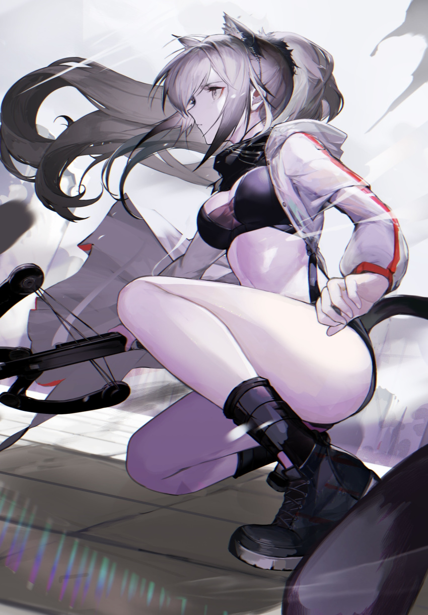1girl absurdres animal_ears anths arknights bare_legs black_footwear black_shirt black_shorts black_socks breasts cat_ears cat_tail cleavage closed_mouth coat crop_top crossbow expressionless extra_ears floating_hair grey_hair highres holding hood hood_down large_breasts long_sleeves looking_ahead micro_shorts midriff navel open_clothes open_coat ponytail scarf schwarz_(arknights) shirt shoes short_shorts shorts socks solo squatting stomach tail thighs weapon white_coat