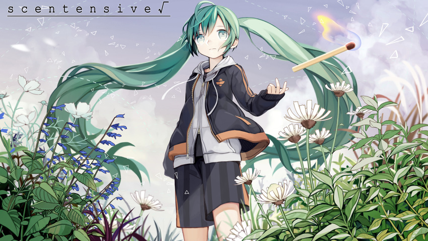 1girl aqua_eyes aqua_hair black_jacket black_shorts bluebell_(flower) casual cloud cloudy_sky commentary commentary_request coneflower feet_out_of_frame field fire flower from_below grey_hoodie hatsune_miku highres hood hoodie jacket kari_kenji leaf long_hair matches shorts sky solo standing throwing twintails very_long_hair vocaloid