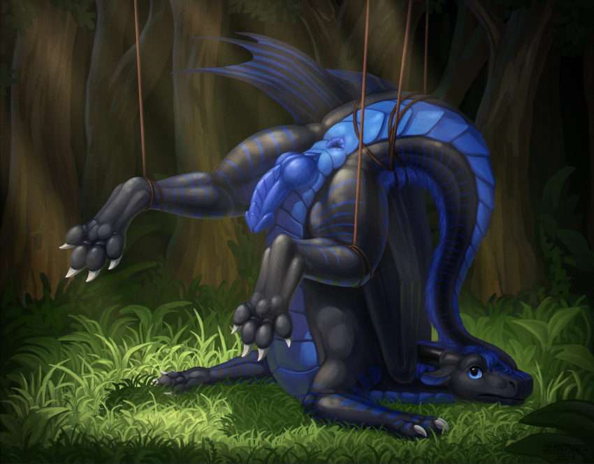 anus ass_up belly_scales blue_anus blue_knot blue_penis butt claws deanosaior dragon feral genitals grass hi_res knot looking_at_viewer male penis plant scales scalie slit solo tree white_claws xylex