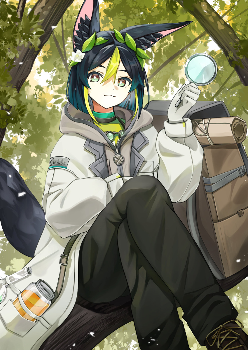 absurdres animal_ear_fluff animal_ears aomiya_souju black_hair black_pants closed_mouth coat crossed_legs flower fox_boy fox_ears fox_tail genshin_impact gloves green_hair hair_flower hair_ornament highres holding holding_magnifying_glass hood hood_down in_tree jar leaf leaf_on_head long_sleeves looking_at_viewer magnifying_glass multicolored_hair pants shoes sitting solo tail tighnari_(genshin_impact) tighnari_(kiehls')_(genshin_impact) tree white_flower white_gloves