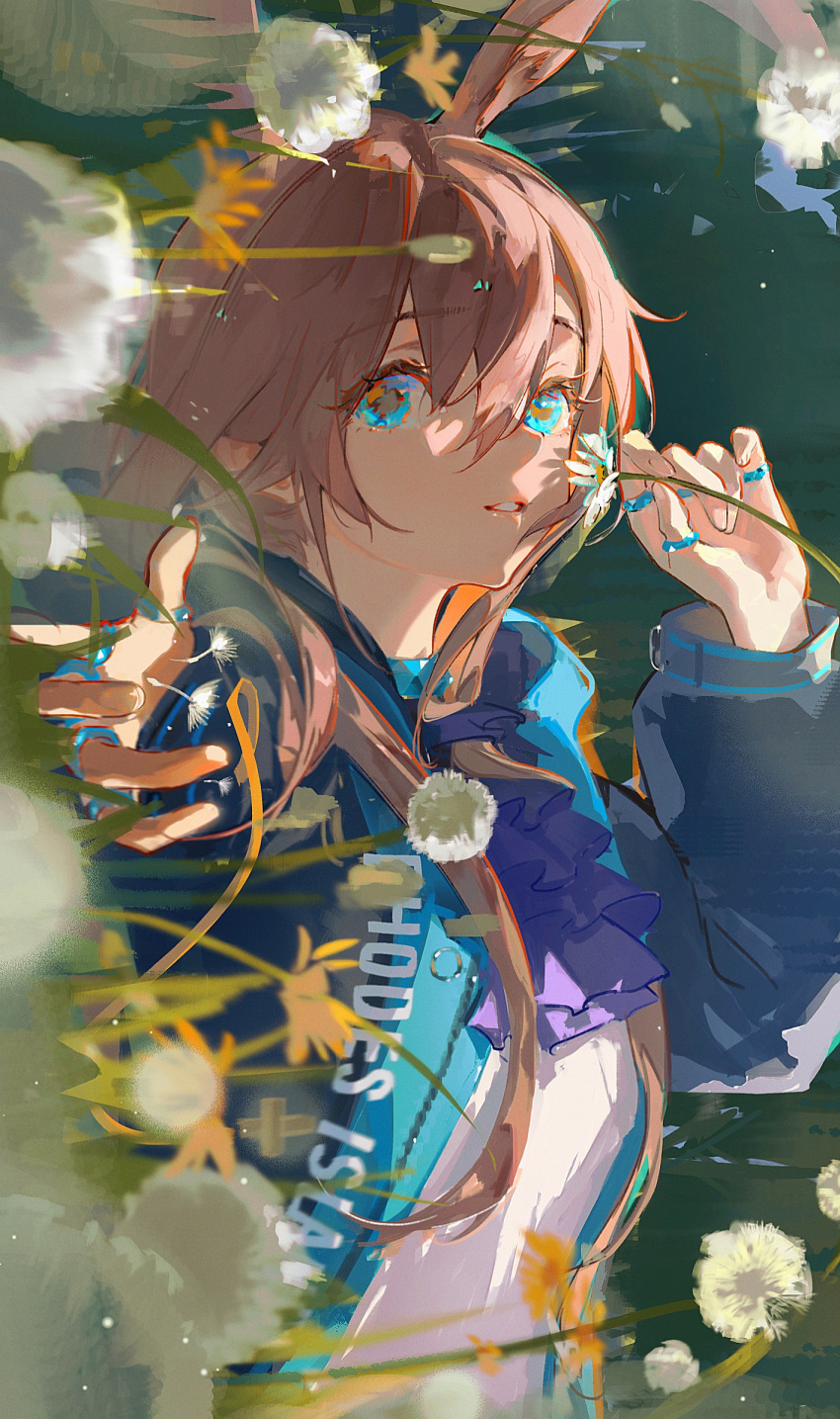 1girl amiya_(arknights) animal_ears arknights ascot black_jacket blowing blue_ascot blue_eyes blurry blurry_foreground brown_hair commentary_request dandelion flower grass highres hood hooded_jacket jacket jewelry looking_at_viewer multiple_rings on_grass open_clothes open_jacket outdoors outstretched_hand rabbit_ears rabbit_girl ring solo thumb_ring upper_body yuyumu