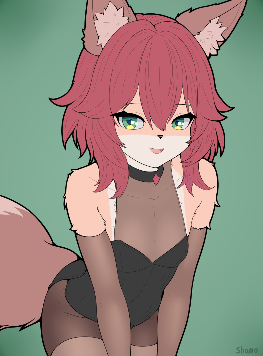 absurd_res anthro canid canine choker clothing ears_up fox girly green_eyes hair heart_eyes heart_symbol hi_res jewelry latex legwear male male/male mammal necklace shomi_(shomo) shomo solo tail tights