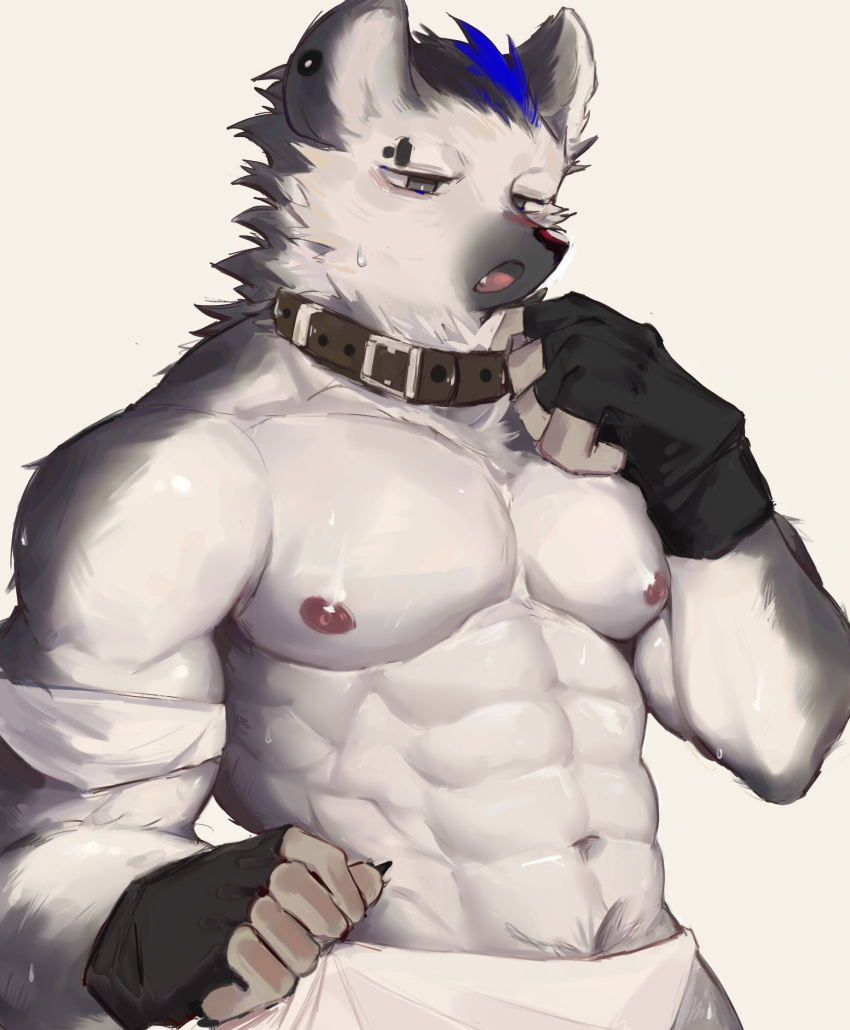 1boy abs animal_collar arknights bara black_gloves collar commentary eyebrow_piercing fang fingerless_gloves furry furry_male gloves grey_eyes highres hyena_boy looking_ahead male_focus male_underwear multicolored_hair muscular muscular_male navel nipples open_mouth p7ywirzyw8lesuc pectorals piercing pubic_hair pubic_hair_peek solo spot_(arknights) streaked_hair sweatdrop topless_male underwear white_background white_male_underwear