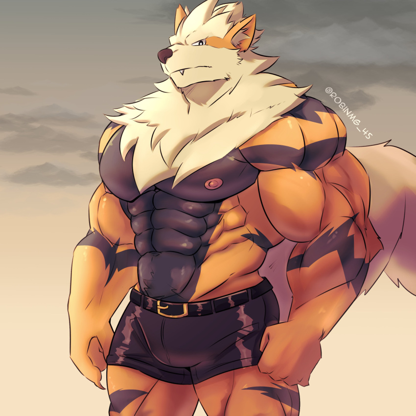 abs absurd_res anthro arcanine belt big_muscles black_bottomwear black_clothing black_shorts black_stripes blonde_hair bottomwear clothing cloud cream_hair fangs fist fluffy fluffy_tail fur generation_1_pokemon hair hi_res hotpants looking_at_viewer male mane muscular nintendo nipples orange_body orange_fur pecs pink_nipples pokemon pokemon_(species) portrait robinmg_45 shorts solo standing stripes tail teeth three-quarter_portrait twitter_handle
