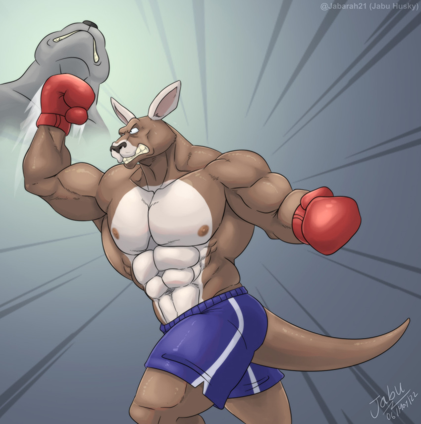 abs anthro beastars biceps hi_res jabuhusky kangaroo macropod male mammal marsupial muscular muscular_anthro muscular_male nipples pecs roger_(beastars)