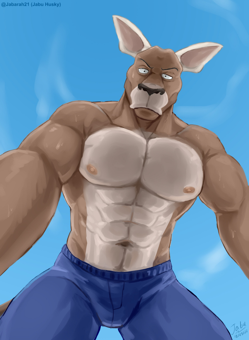 abs absurd_res anthro beastars hi_res jabuhusky kangaroo macropod male mammal marsupial muscular muscular_anthro muscular_male nipples pecs roger_(beastars) solo