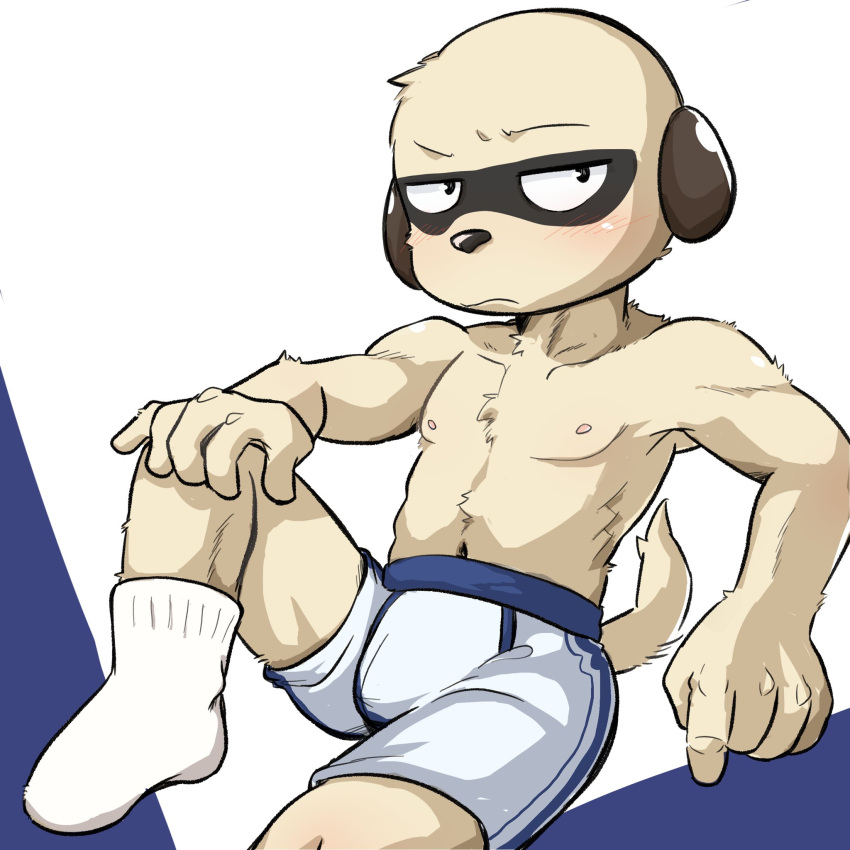 ahseo anthro athletic athletic_male blush bulge clothed clothing herpestid hi_res kenshiro_daimon_(odd_taxi) male mammal meerkat odd_taxi simple_background solo topless topless_male underwear white_background