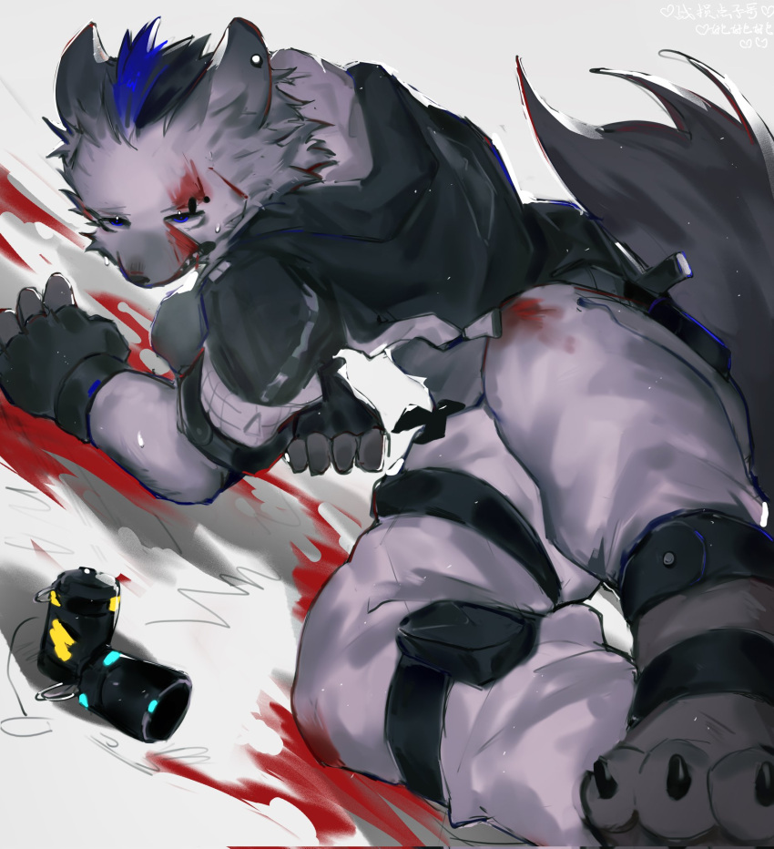 1boy animal_ear_piercing arknights black_gloves black_jacket blood blood_on_face blue_eyes claws eyebrow_piercing fingerless_gloves furry furry_female furry_male gloves grey_pants grimace highres hyena_boy injury jacket light_particles looking_at_viewer male_focus multicolored_hair p7ywirzyw8lesuc pants piercing sharp_teeth solo spot_(arknights) streaked_hair sweatdrop teeth toe_claws translation_request