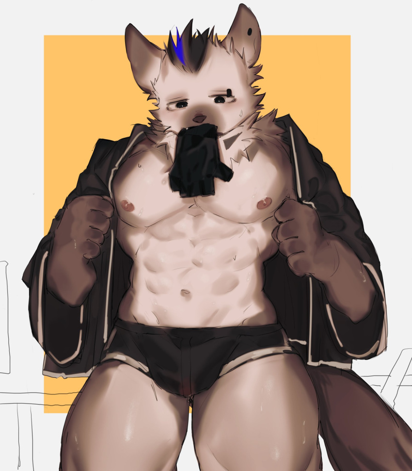 1boy abs arknights bara bare_pectorals black_eyes black_jacket black_male_underwear border bulge eyebrow_piercing furry furry_male glove_in_mouth gloves highres hyena_boy jacket male_focus male_underwear mouth_hold multicolored_hair navel nipples open_clothes open_jacket p7ywirzyw8lesuc pectorals piercing solo spot_(arknights) streaked_hair tail thighs underwear white_border wide_sleeves