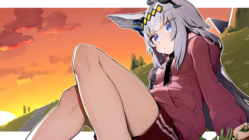 1girl absurdres animal_ears cloud cloudy_sky commentary_request commission day ear_ornament gym_shorts gym_uniform hair_ornament highres horse_ears horse_girl jacket leaning_back long_hair long_sleeves looking_at_viewer oguri_cap_(umamusume) orange_sky outdoors parted_lips red_jacket red_shorts shorts sitting skeb_commission sky solo sunset tamukoro track_jacket umamusume