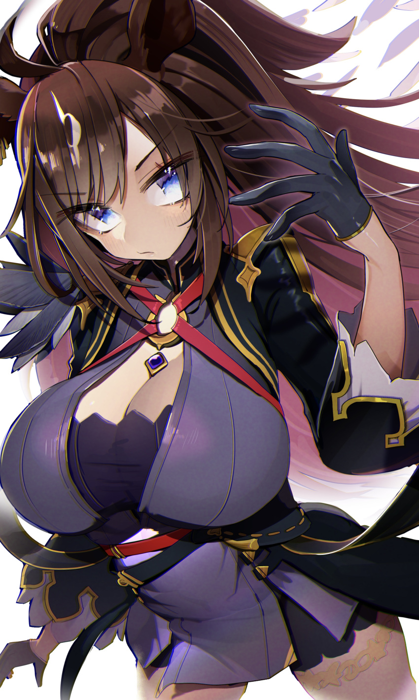 1girl absurdres ahoge animal_ears black_gloves blue_eyes breasts brown_hair cleavage cleavage_cutout closed_mouth clothing_cutout commentary cowboy_shot dress duramente_(umamusume) frown gloves grey_dress highres horse_ears horse_girl large_breasts long_hair long_sleeves looking_at_viewer short_dress solo standing tamukoro umamusume wind