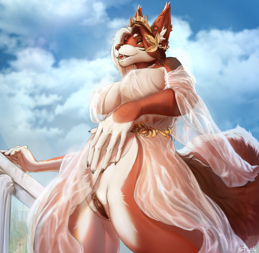 anthro breasts canid canine clothed clothing female looking_at_viewer mammal nipple_bulge open_mouth outside pussy sheer_clothing smile solo standing stesha_di translucent transparent_clothing