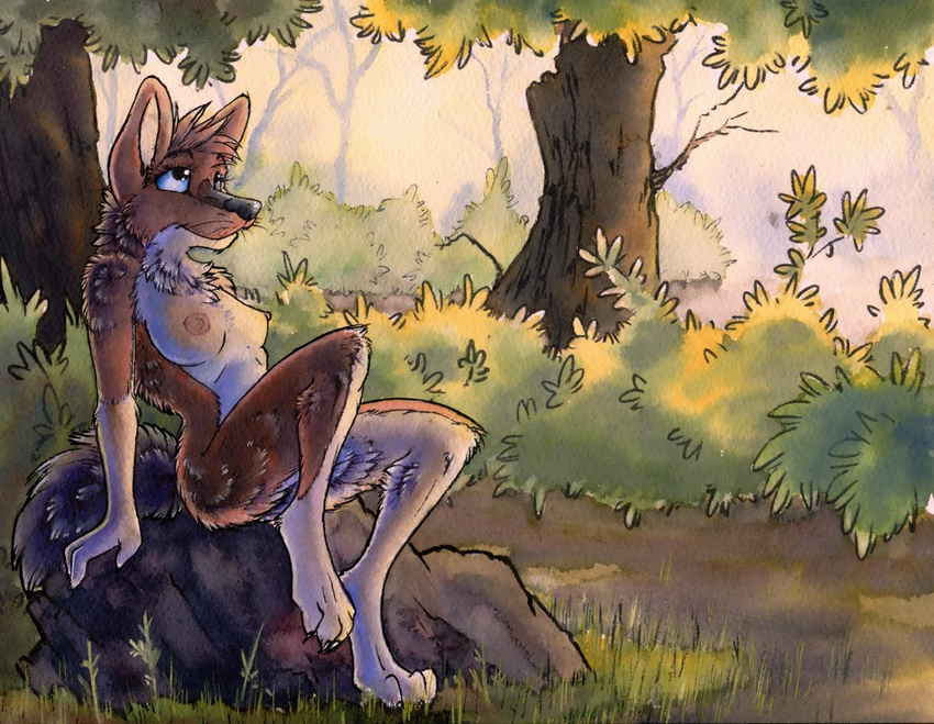 canine dhole female forest mammal nude ruaidri solo traditional_media tree watercolor watercolour