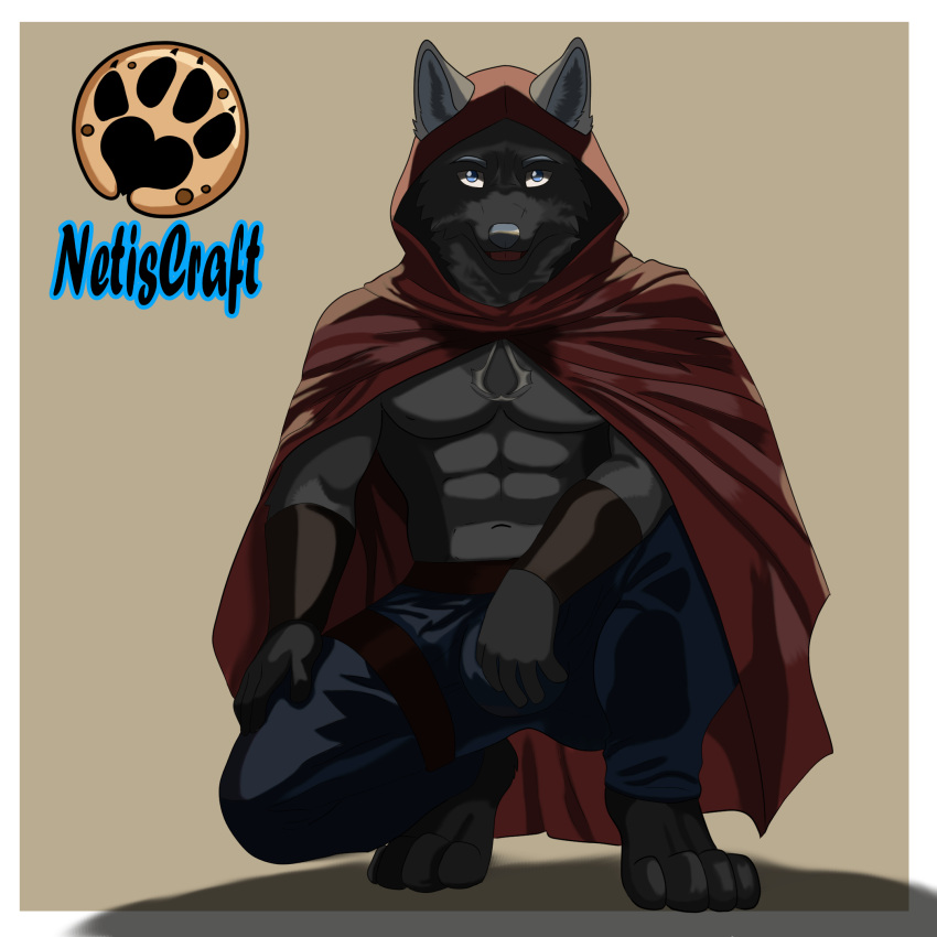 abs anthro assassin assassin's_creed belt blue_eyes bracelet bulge canid canine canis cloak clothing dark_body dark_fur fur hi_res hindpaw hooded_cloak jewelry male male/male mammal muscular netiscraft paws shirtless solo ubisoft wolf