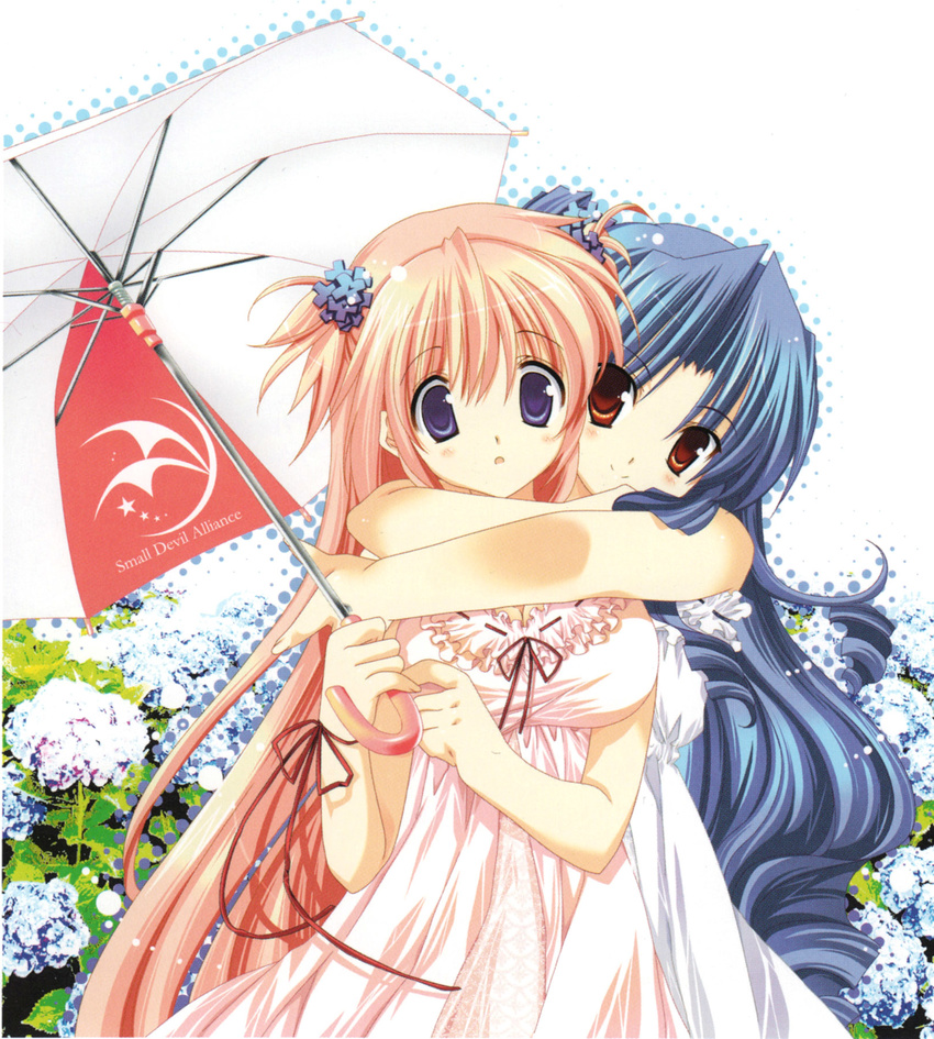 artist_request blue_hair brown_eyes dress flower goshuushou-sama_ninomiya-kun highres houjou_reika hydrangea multiple_girls pink_hair purple_eyes tsukimura_mayu umbrella