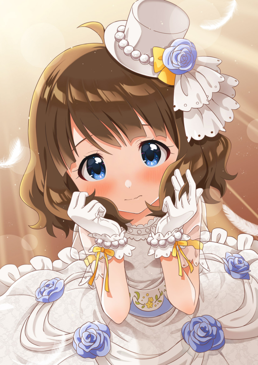 1girl blue_eyes blue_flower blue_rose blush breasts brown_hair closed_mouth dot_nose dress falling_feathers flower frilled_dress frills from_above gloves goma_konbu hand_on_own_face hands_up hat hat_flower hat_ribbon highres idolmaster idolmaster_million_live! idolmaster_million_live!_theater_days lens_flare lens_flare_abuse looking_at_viewer looking_up ribbon ribbon-trimmed_gloves ribbon_trim rose see-through see-through_sleeves short_hair short_sleeves shy small_breasts solo suou_momoko wavy_hair wavy_mouth white_dress white_gloves white_headwear yellow_ribbon