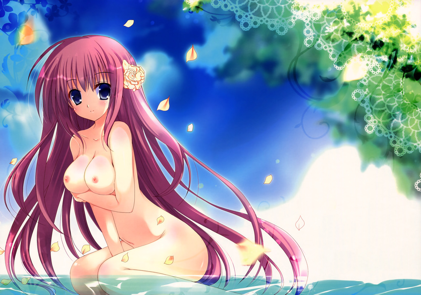 blush breast_hold breasts long_hair mizusawa_mimori nipples nude original petals water