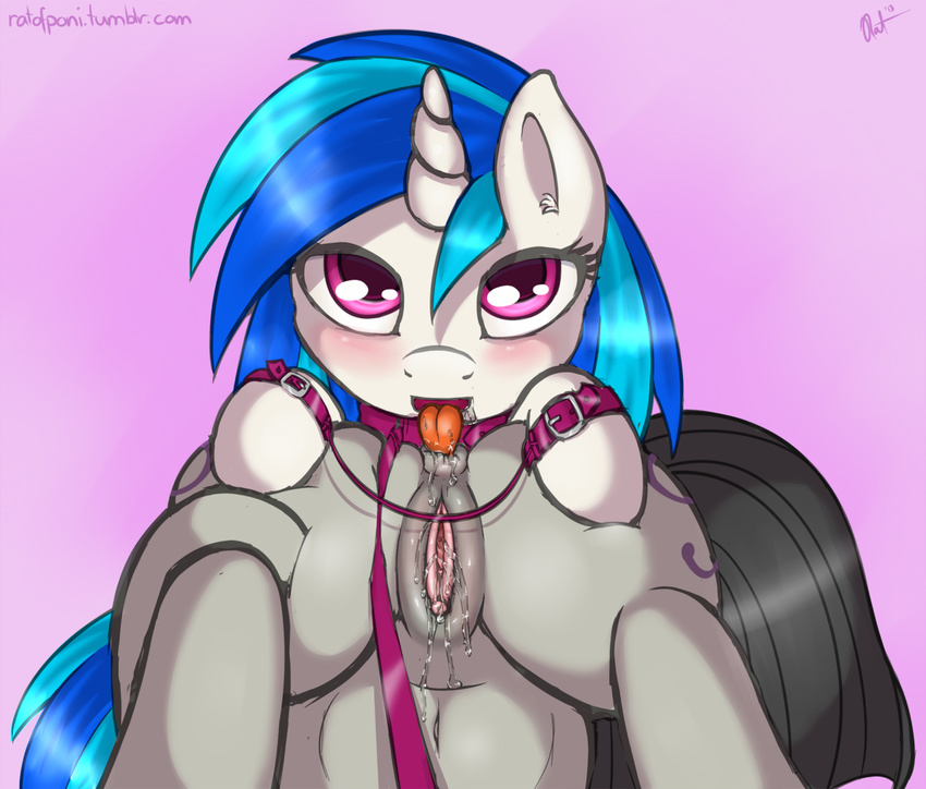 anal blue_hair blush collar cutie_mark duo english_text equine female female_pov feral first_person_view friendship_is_magic fur grey_fur hair horn horse leash lesbian looking_at_viewer mammal my_little_pony octavia_(mlp) oral pony purple_eyes pussy pussy_juice ratofdrawn rimming saliva text tongue tongue_out two_tone_hair unicorn upside_down upsided_down vinyl_scratch_(mlp) white_fur