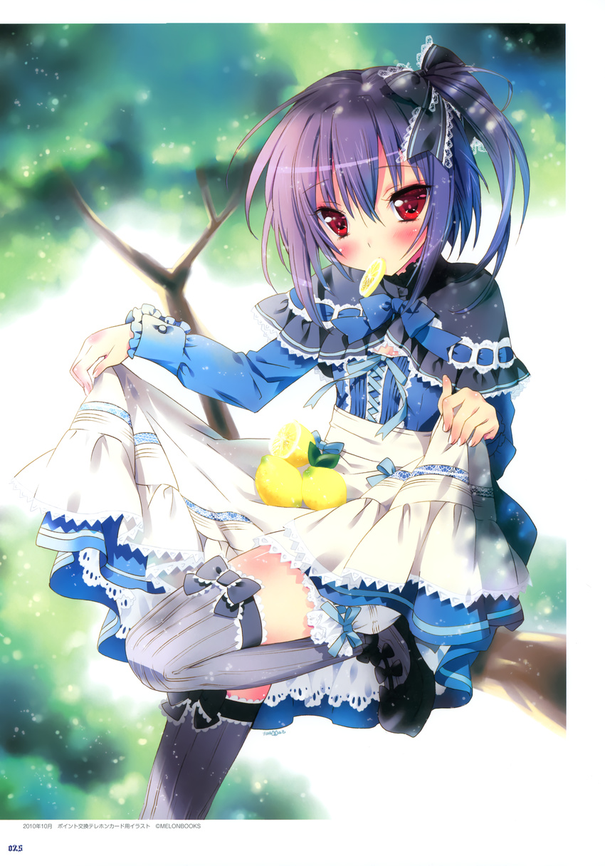 absurdres blurry blurry_background blush capelet copyright_request dress food food_in_mouth fruit grey_legwear highres in_tree kamiya_maneki leaf lemon lemon_slice looking_at_viewer mouth_hold plant purple_hair red_eyes short_hair side_ponytail sitting skirt_basket solo thighhighs tree tree_branch tsurime wood