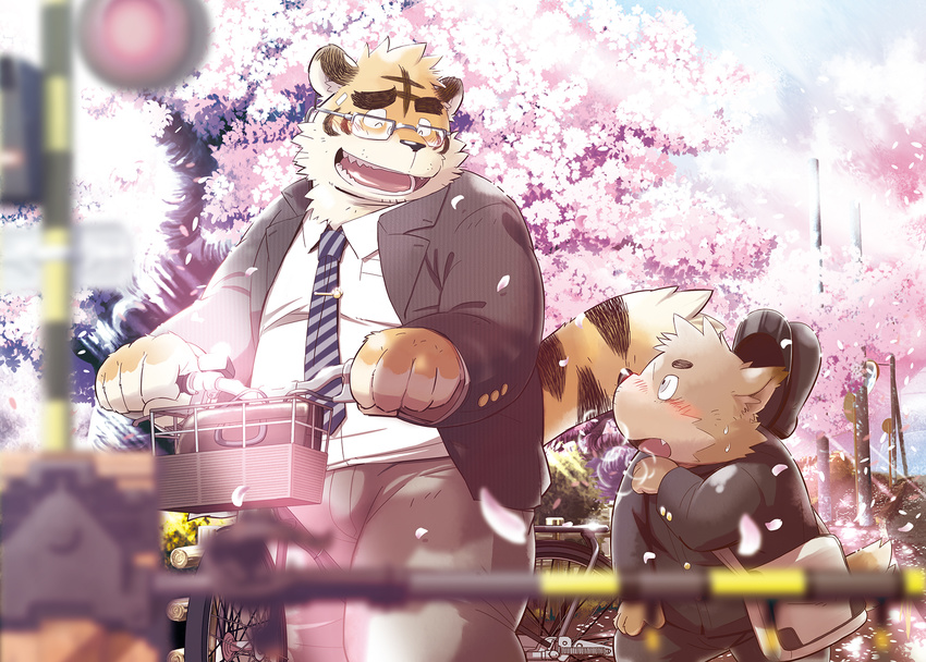 anthro beast bicycle breath canine cherry_blossom cherry_petal clothed clothing cub detailed duo eyewear feline fur glasses hair male mammal tiger tugi66 wolf young