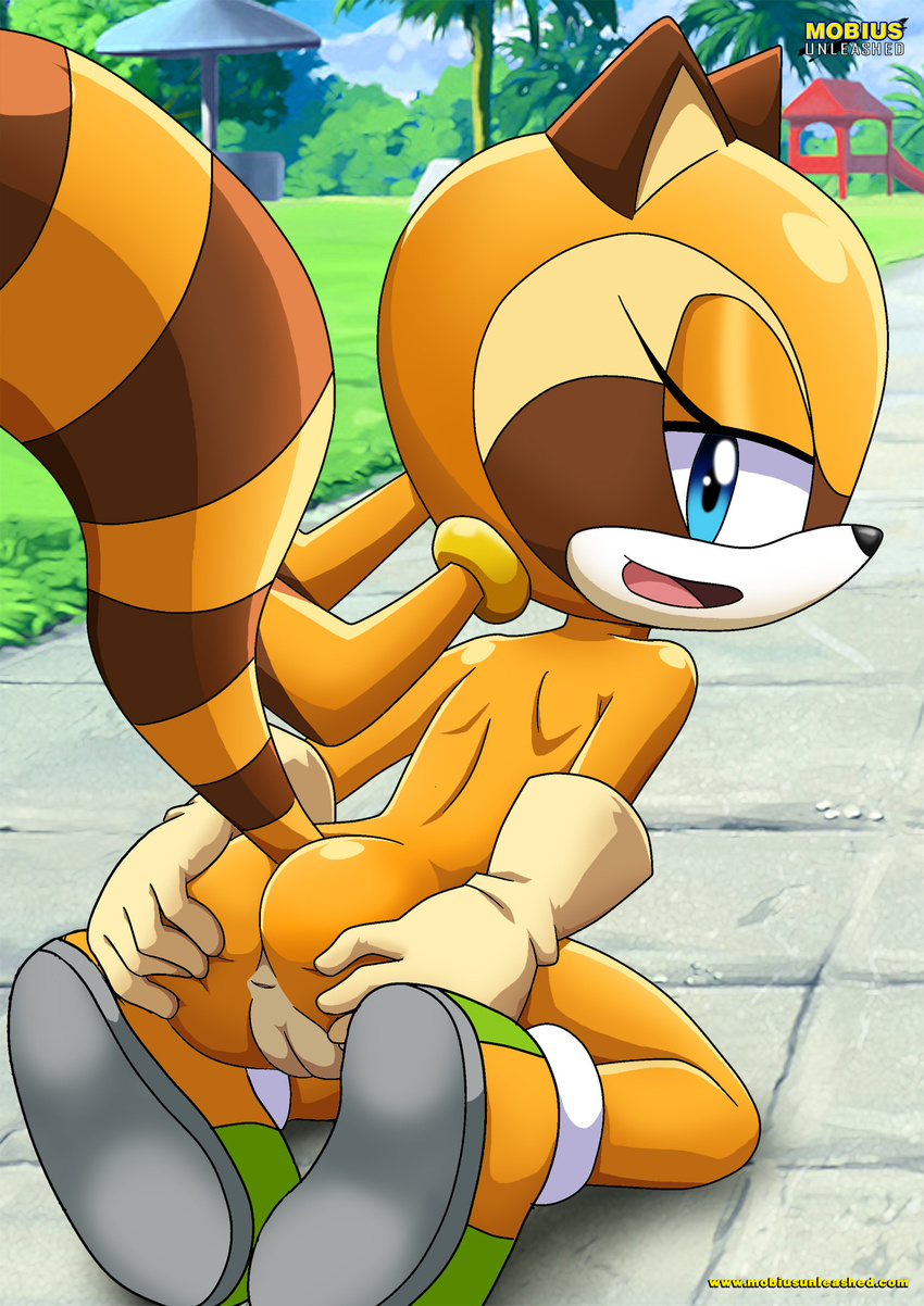 anus blue_eyes butt female gloves looking_back marine_the_raccoon mobius_unleashed nude open_mouth palcomix presenting presenting_hindquarters pussy sega shoes solo sonic_(series) young