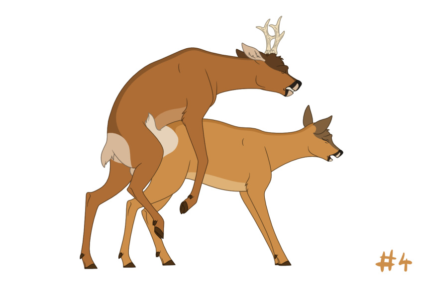 2023 3:2 anatomically_correct animal_genitalia antlers balls brown_body brown_fur cervine clenched_teeth cloven_hooves deer digital_drawing_(artwork) digital_media_(artwork) duo ears_back ears_up eyelashes eyes_closed female female_penetrated feral feral_on_feral feral_penetrated feral_penetrating from_behind_position fur genitals grunting hooves horn humping in_heat love male male/female male_penetrating male_penetrating_female mammal moan mounting new_world_deer open_mouth penetration penile penile_penetration penile_sheath penis_in_pussy pivoted_ears quadruped reinderworld roe_deer romantic romantic_couple rutting seductive sex sheath short_tail simple_background standing_on_hind_legs tail tan_body tan_fur teeth text vaginal vaginal_penetration