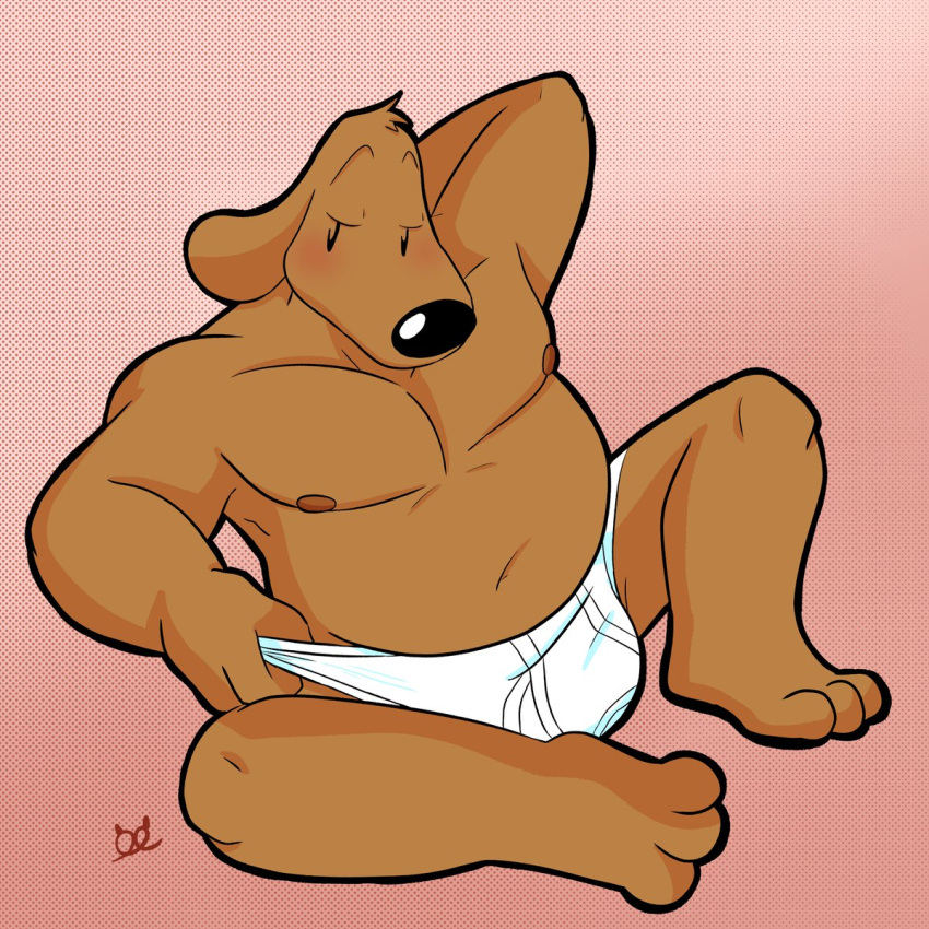 anthro barefoot black_nose blush briefs briefs_only briefs_pull brown_body brown_fur clothed clothing clothing_pull feet fur hi_res male musclegut pretzelgremlin solo tighty_whities topless underwear underwear_only underwear_pull white_briefs white_clothing white_underwear