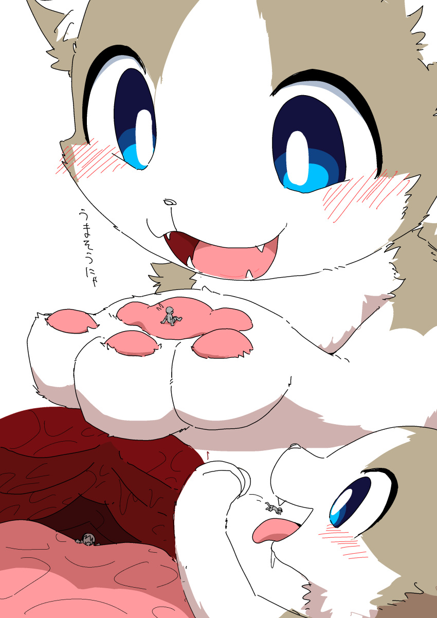 2024 3_fingers absurd_res ambiguous_gender ambiguous_pred ambiguous_prey anon anthro anthro_focus anthro_pred blue_eyes blush bodily_fluids carrying catfox22 colored cute_fangs dialogue digital_media_(artwork) domestic_cat duo extreme_size_difference fangs felid feline felis fingers fully_inside fur grey_body grey_fur hi_res holding_character human human_prey in_mouth japanese_text kemono larger_ambiguous larger_anthro larger_pred looking_at_another mammal micro micro_prey multicolored_body multicolored_fur nude on_tongue open_mouth open_smile oral_vore pawpads pink_pawpads pink_tongue pupils saliva sequence simple_background sitting size_difference smaller_ambiguous smaller_human smaller_prey smile soft_vore solo_focus teeth text tongue tongue_out two_tone_body two_tone_fur vore white_background white_body white_fur white_pupils