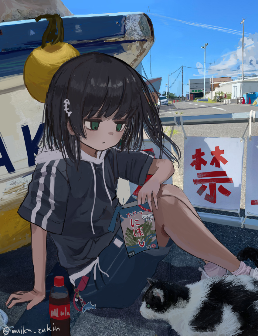 1girl absurdres animal black_hair boat cat cola day fish_bone green_eyes highres hood hoodie muika_zukin original outdoors sitting solo watercraft