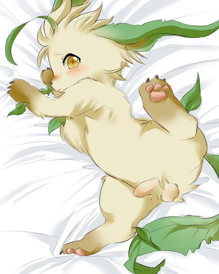 &#12450;&#12477;&#12540;&#12524; ???? blush claws eeveelution hindpaw leafeon male nintendo pawpads paws penis pok&#233;mon pok&eacute;mon solo spread_legs spreading uncut video_games