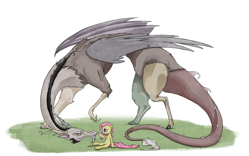 discord_(mlp) draconequus equine female feral fluttershy_(mlp) friendship_is_magic hi_res horse male mammal my_little_pony nocturnalpony plain_background pony white_background wings
