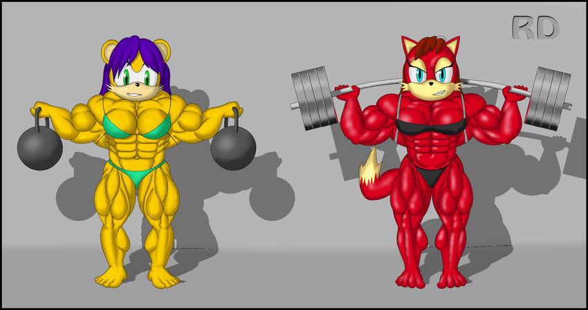 absurd_res biceps bodybuilder breasts canine couple female fiona_fox fox hi_res looking_at_viewer mammal mina_mongoose mongoose muscles muscular_female navel raydan77 sega smile sonic_(series) weights