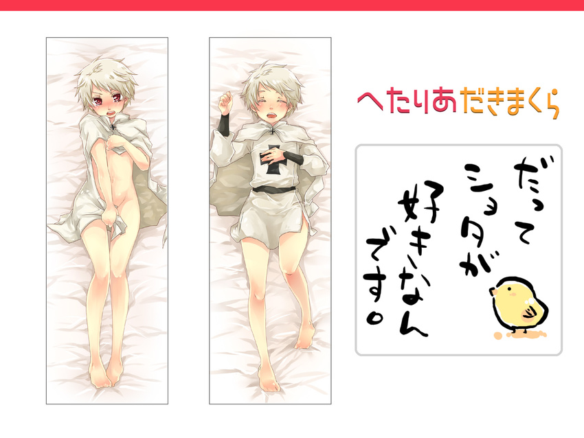 axis_powers_hetalia bad_id bad_pixiv_id barefoot bird blush cape chick closed_eyes covering covering_crotch cross dakimakura highres iron_cross male_focus multiple_views navel nude open_mouth prussia_(hetalia) red_eyes tobi_(one) white_background
