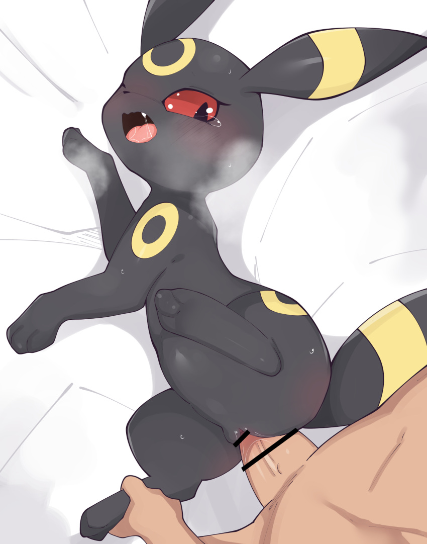2024 bedding bedding_background bestiality black_body black_ears black_fur black_nose black_tail blush blush_lines bodily_fluids body_part_in_pussy butt censor_bar censored censored_genitalia censored_penis censored_pussy cute_fangs digital_media_(artwork) duo ear_markings eeveelution erection facial_markings feet female female_focus female_on_human female_penetrated feral feral_focus feral_penetrated fingers foot_grab forehead_markings fur generation_2_pokemon genital_fluids genitals head_markings hi_res himimi hindpaw human human_on_feral human_penetrating human_penetrating_female human_penetrating_feral interspecies looking_back lying male male/female male_on_feral male_penetrating male_penetrating_female male_penetrating_feral mammal markings multicolored_body multicolored_ears multicolored_fur multicolored_tail nintendo nude on_back one_eye_closed open_mouth paws penetration penile penile_penetration penis penis_in_pussy pink_tongue pokemon pokemon_(species) pokephilia pupils pussy pussy_juice_on_penis red_eyes saliva saliva_on_tongue saliva_string sex solo_focus sweat tail tail_markings tears tongue umbreon vaginal vaginal_fluids vaginal_penetration yellow_body yellow_ears yellow_fur yellow_markings yellow_tail