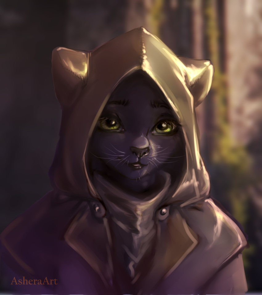 anthro asheraart big_eyes cat clothed clothing elsweyr feline female hood invalid_tag khajiit mammal portrait safe solo teso the_elder_scrolls trailer video_games