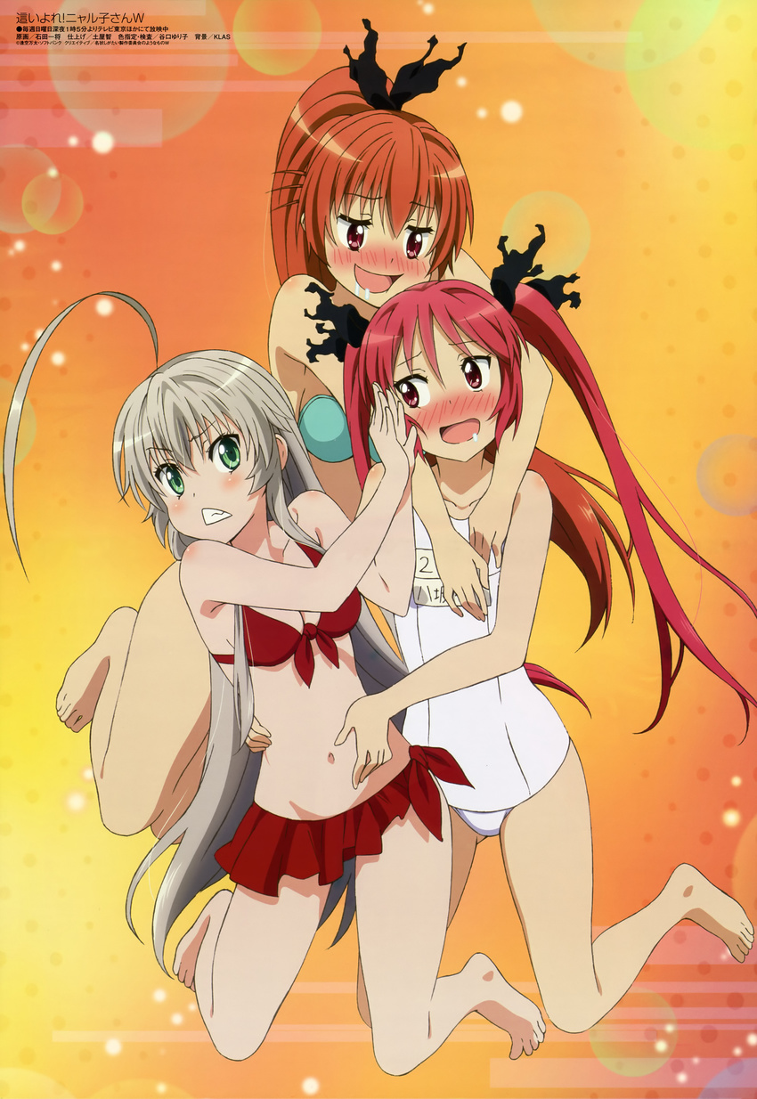 absurdres ahoge bandeau bangs barefoot bikini bikini_skirt blue_bikini blush body_blush breasts cleavage clenched_teeth cthugha_(nyaruko-san) cuune_(nyaruko-san) drooling flat_chest front-tie_bikini front-tie_top gradient gradient_background green_eyes hair_ribbon haiyore!_nyaruko-san hand_on_another's_face hand_on_another's_stomach hands_on_another's_chest hands_together high_ponytail highres ishida_kazumasa kneeling light_particles long_hair looking_at_another looking_at_viewer megami multiple_girls name_tag naughty_face navel non-web_source nose_blush nyarlathotep_(nyaruko-san) official_art one-piece_swimsuit orange_hair ponytail red_bikini red_eyes red_hair ribbon saliva scan school_swimsuit silver_hair swimsuit teeth torso_grab triangle_mouth twintails very_long_hair white_school_swimsuit white_swimsuit yuri