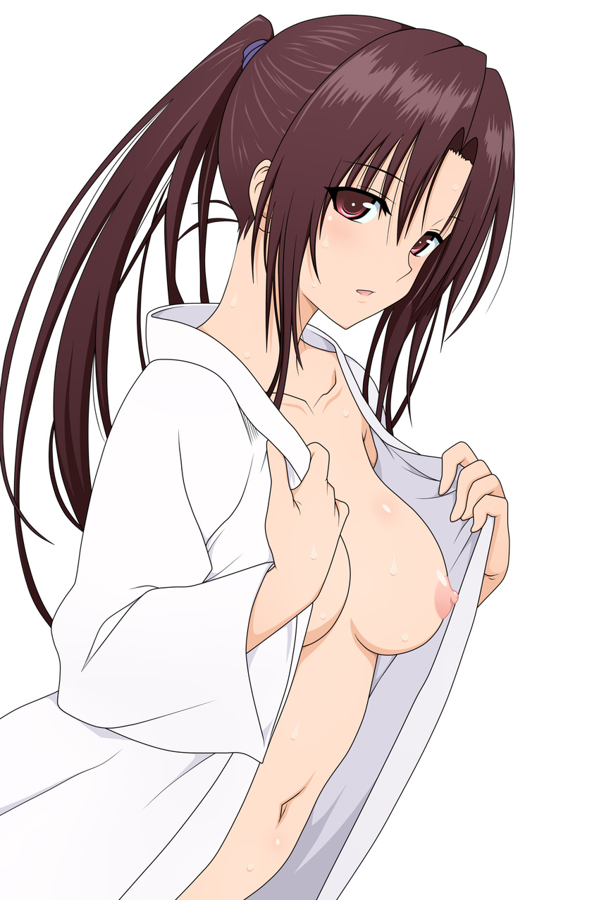 areolae breasts brown_hair collarbone highres kujou_rin long_hair looking_at_viewer medium_breasts navel nipples open_mouth ponytail red_eyes shige_(moe-ren.net) solo sweat to_love-ru to_love-ru_darkness transparent_background undressing vector_trace yabuki_kentarou