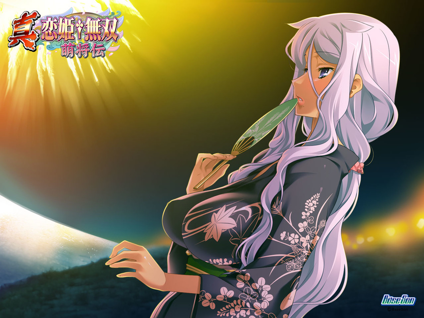 aerial_fireworks blue_eyes dutch_angle fan fireworks hikage_eiji japanese_clothes koihime_musou kougai lights long_hair night night_sky profile purple_hair sky solo water