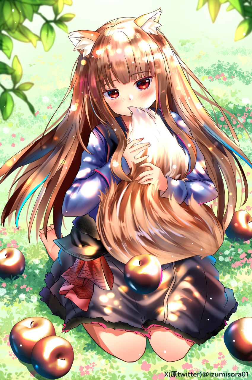 1girl absurdres animal_ear_fluff animal_ears apple barefoot black_skirt blue_shirt blunt_bangs blurry blush brown_hair commentary_request covered_mouth dappled_sunlight day depth_of_field eyelashes floating_hair food fruit full_body hands_up highres holding_own_tail holo hugging_own_tail hugging_tail izumikuu kneeling long_hair long_sleeves looking_at_viewer on_grass outdoors red_apple red_eyes shirt skirt solo spice_and_wolf straight_hair sunlight tail tsurime twitter_username very_long_hair wolf_ears wolf_girl wolf_tail