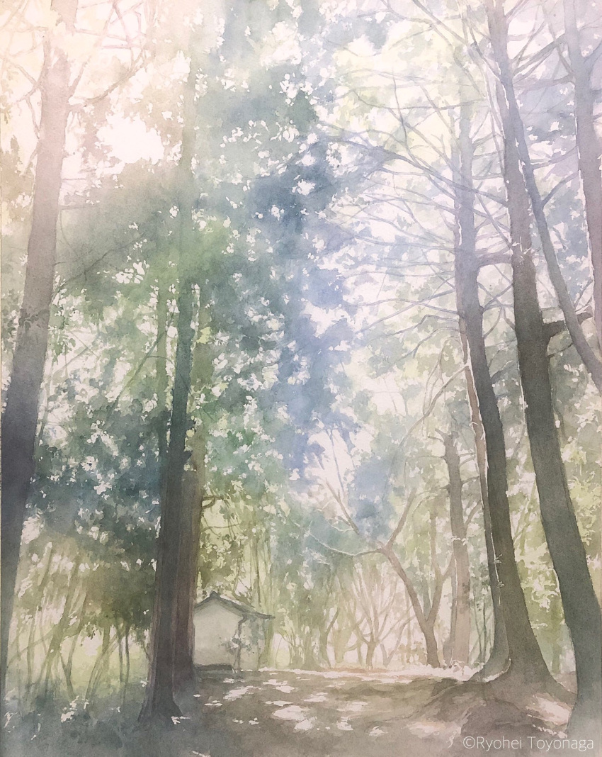 bush dappled_sunlight day forest highres leaf nature no_humans original plant scenery shadow shed sunlight toyonaga_ryouhei tree tree_shade