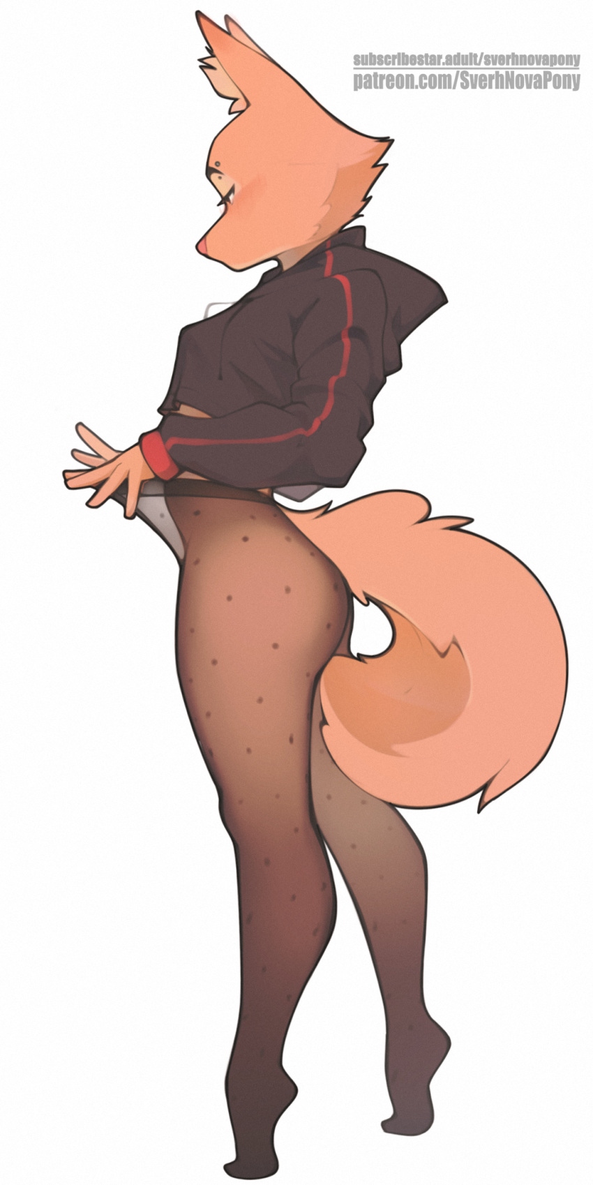 2024 anthro canid canine clothing diane_foxington dreamworks eyebrow_piercing eyebrows eyelashes facial_piercing feet female fox fur hi_res hoodie inner_ear_fluff legwear mammal orange_body orange_fur pantyhose piercing solo sverhnovapony the_bad_guys topwear tuft